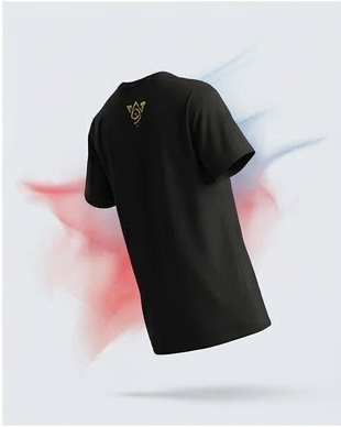 T-shirt Noir LAROULAND Premium – Tee-shirt Unisexe Minimaliste & Streetwear